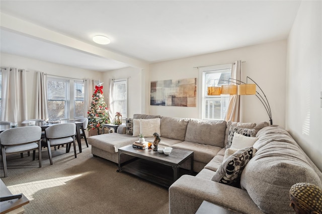 view of carpeted living room