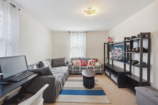 view of carpeted living room