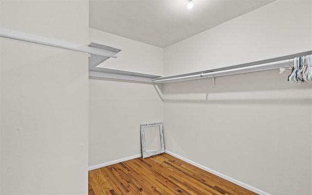 walk in closet with hardwood / wood-style flooring