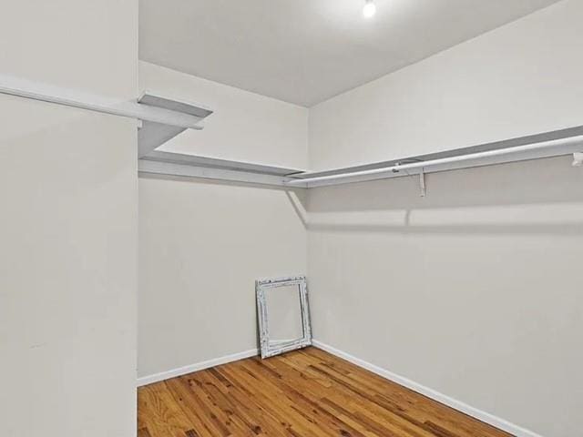 spacious closet featuring wood finished floors