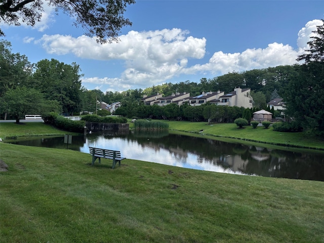 4 Dakota Ct, Suffern, NY 10901 - photo 39