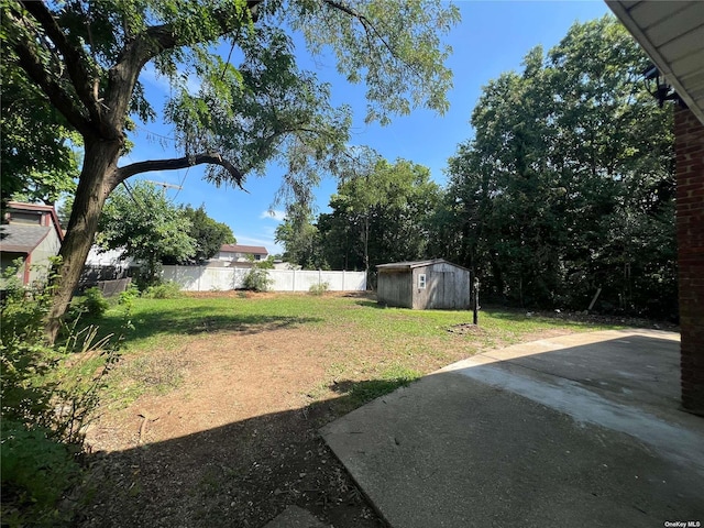 view of yard featuring a patio and a storage unit