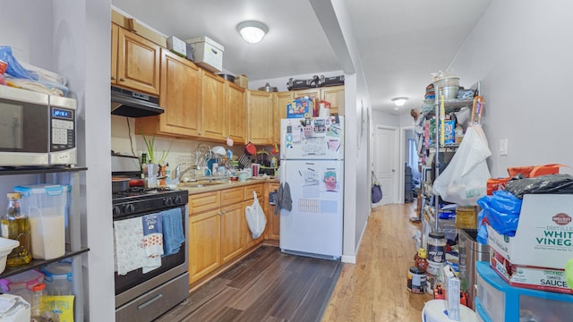 kitchen with dark hardwood / wood-style flooring, sink, and appliances with stainless steel finishes