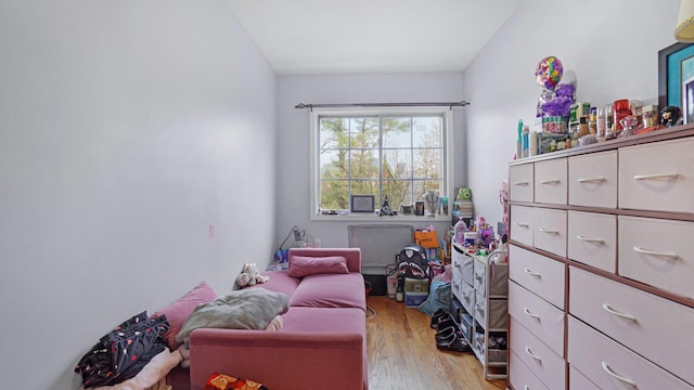 bedroom with light hardwood / wood-style flooring