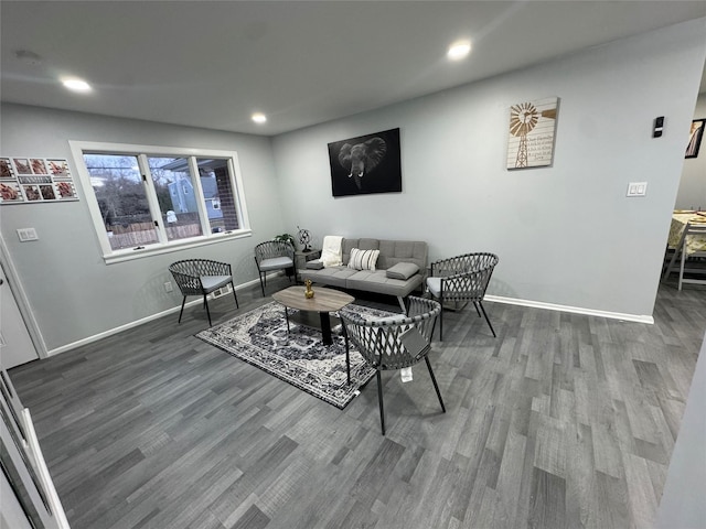 living room featuring wood-type flooring