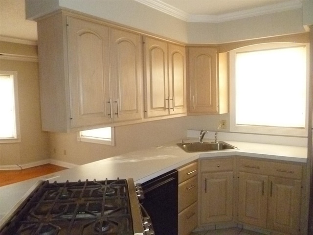 kitchen with gas cooktop, ornamental molding, sink, light brown cabinets, and dishwasher