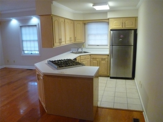 kitchen with ornamental molding, appliances with stainless steel finishes, sink, and light brown cabinets