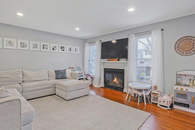 living room featuring hardwood / wood-style flooring