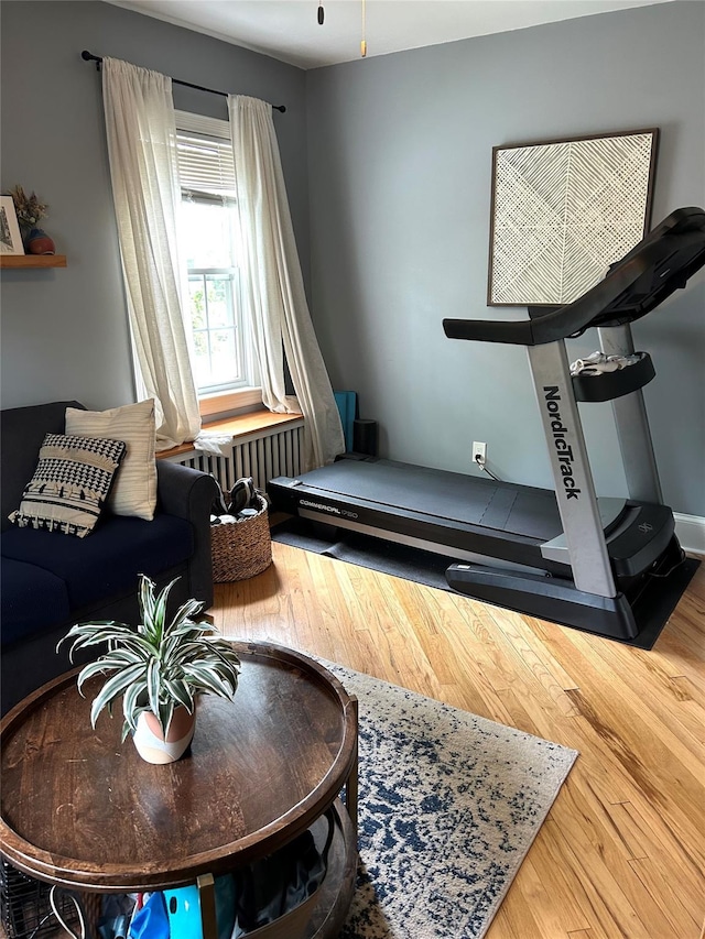 workout area with hardwood / wood-style floors