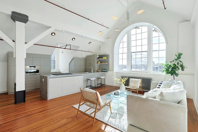 living room featuring radiator heating unit, light wood-type flooring, and vaulted ceiling