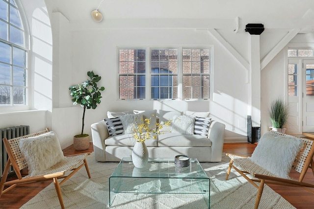 living room with radiator and wood-type flooring