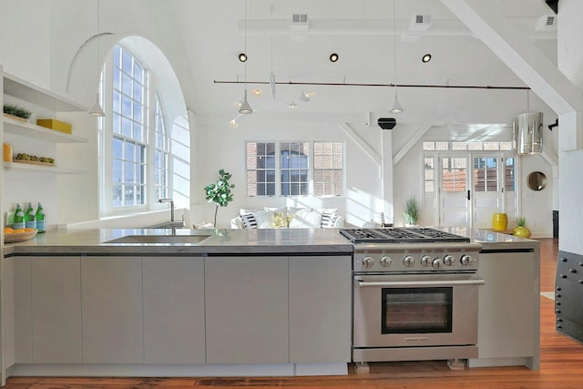 kitchen with sink, wood-type flooring, gray cabinetry, and high end stainless steel range