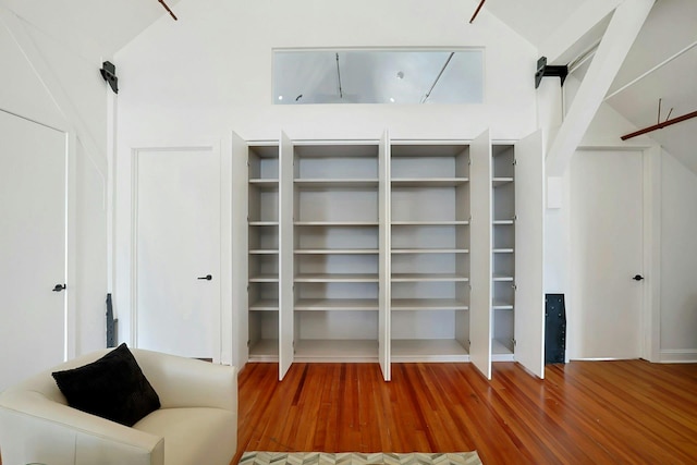 spacious closet with high vaulted ceiling and wood-type flooring