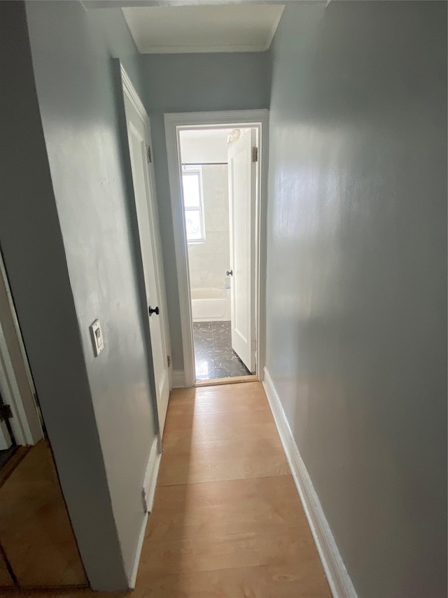 10 Nosband Ave Unit 6B, White Plains, NY 10605 - photo 10