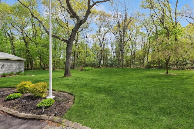view of green lawn