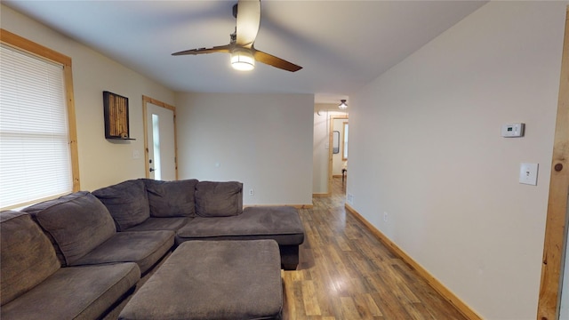 living room with wood-type flooring and ceiling fan