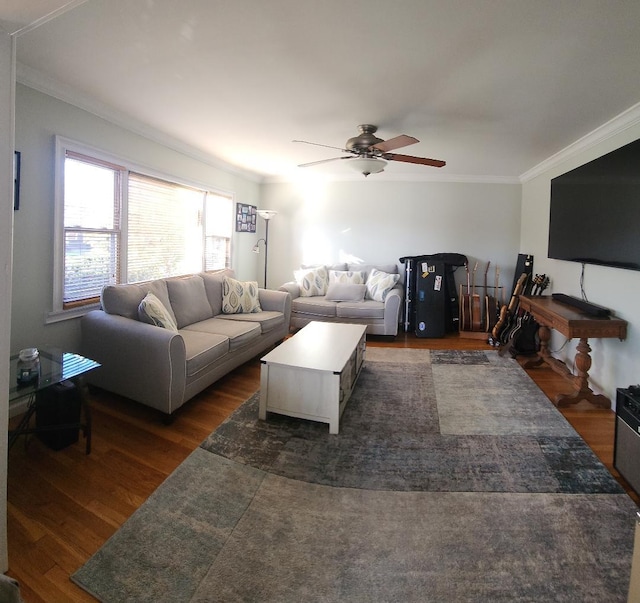 living room with ceiling fan, crown molding, and dark wood-type flooring