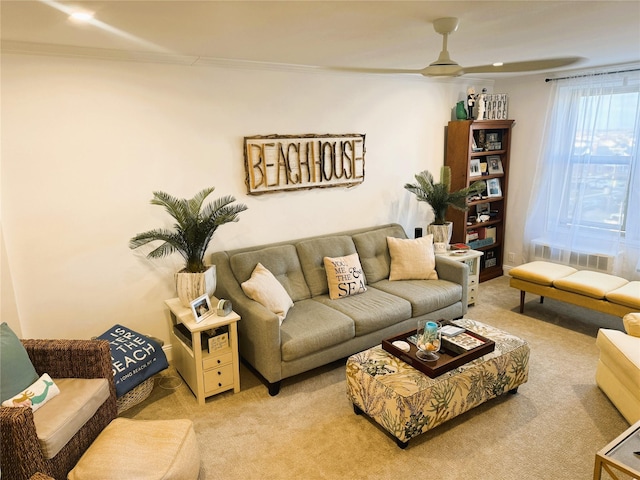 carpeted living area with a ceiling fan and crown molding