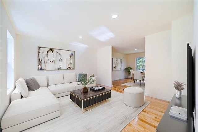 living room featuring hardwood / wood-style floors