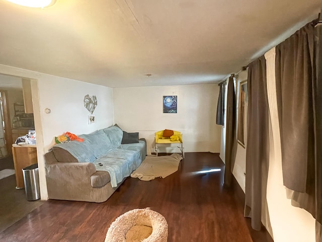 living room featuring dark wood-type flooring