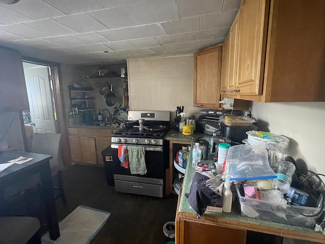 kitchen with stainless steel range with gas cooktop and sink