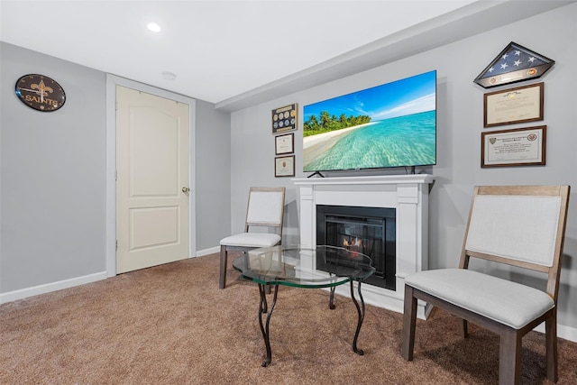 sitting room with carpet