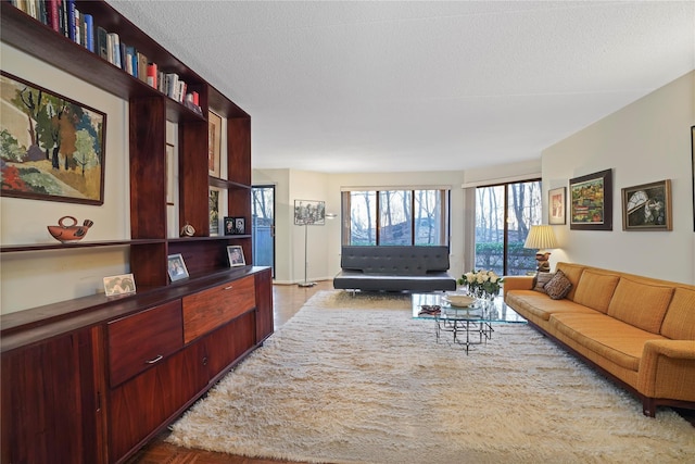 living room featuring a textured ceiling