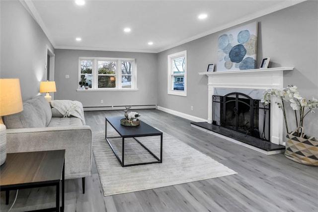 living room featuring crown molding, a baseboard radiator, and hardwood / wood-style floors