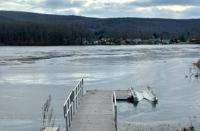 dock area with a water and mountain view