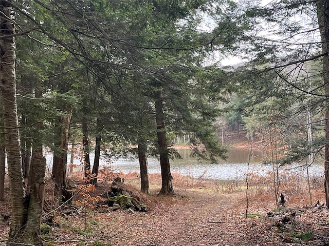 Listing photo 3 for 10 Cold Creek Pass, Parksville NY 12768