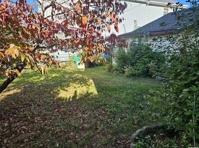 view of yard