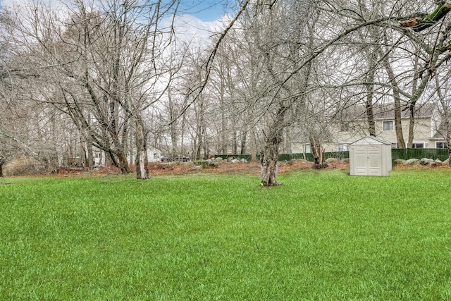 view of yard featuring a storage unit