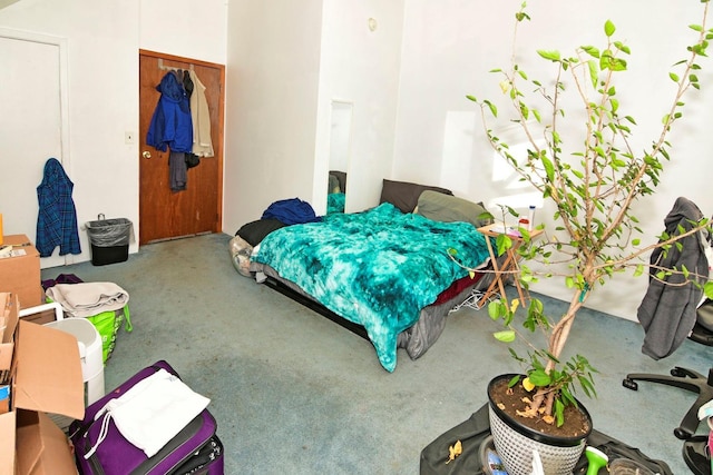 carpeted bedroom featuring a closet