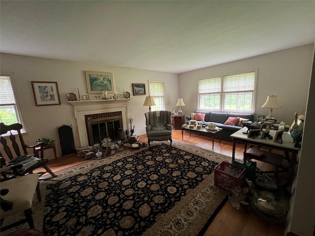 living room featuring hardwood / wood-style floors