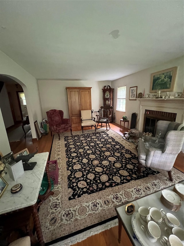 living room featuring hardwood / wood-style flooring