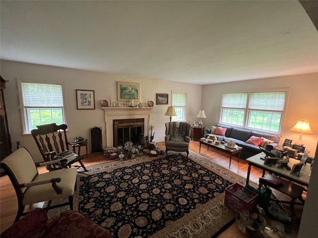 living room featuring wood-type flooring