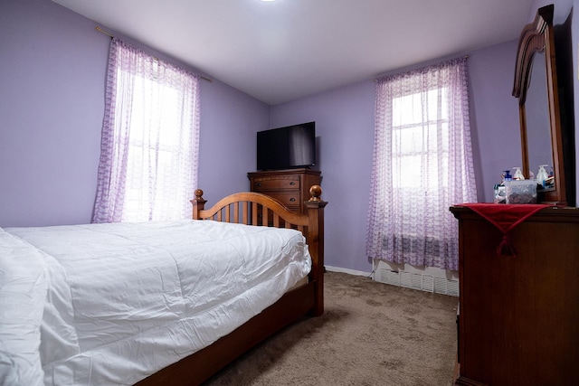 bedroom with carpet floors