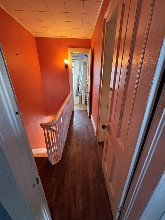 hallway featuring dark hardwood / wood-style floors