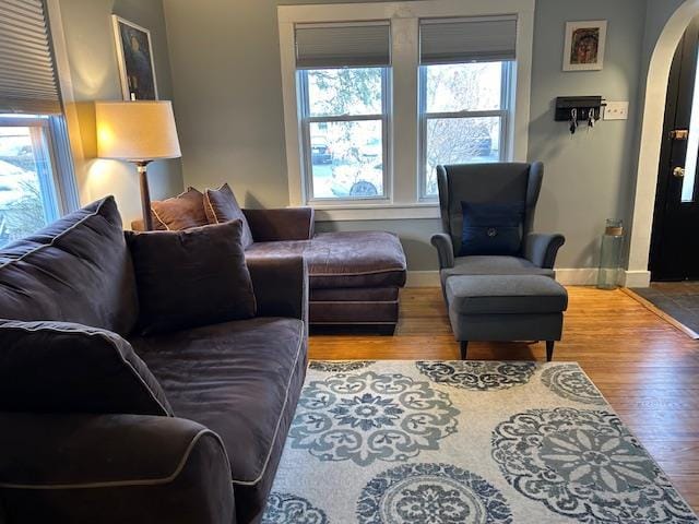 living room featuring hardwood / wood-style flooring and a healthy amount of sunlight