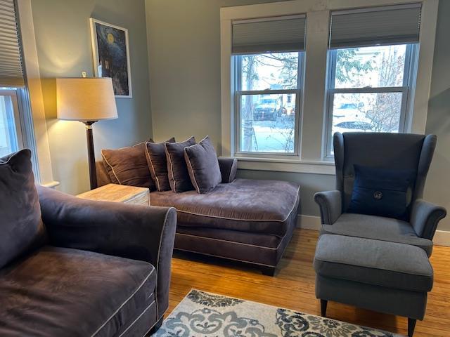 living room featuring hardwood / wood-style flooring