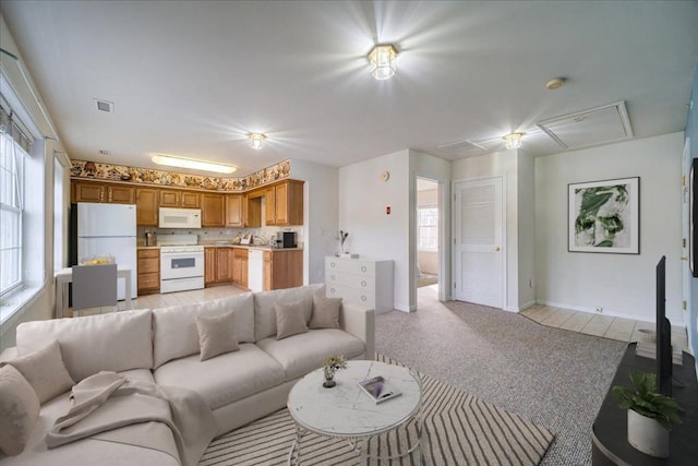 carpeted living room with a wealth of natural light