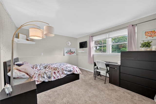 23 Old Brick Rd, New City, NY 10956 - bedroom with carpet flooring and baseboards