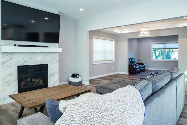 living room featuring wood-type flooring, a wealth of natural light, and a premium fireplace