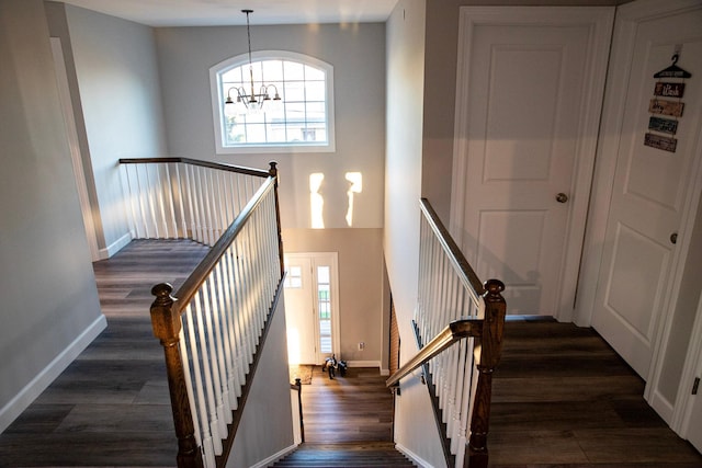 stairway with hardwood / wood-style floors, a wealth of natural light, and a chandelier