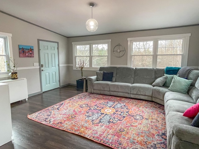 living room featuring plenty of natural light, dark hardwood / wood-style flooring, crown molding, and vaulted ceiling