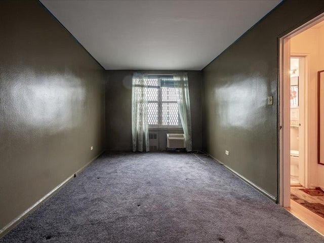 unfurnished room with carpet