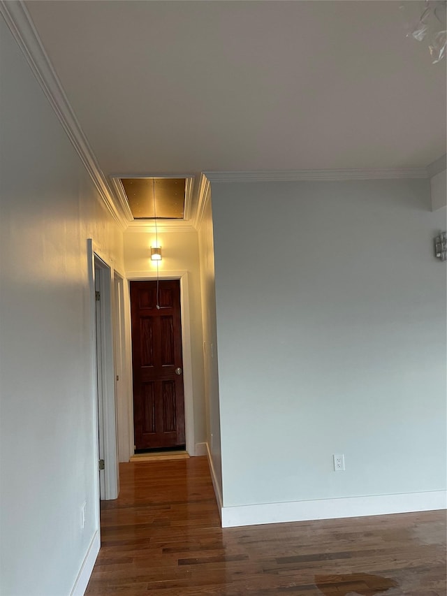 hall with wood-type flooring and ornamental molding