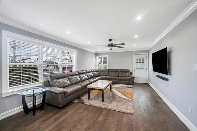 living room featuring ceiling fan, dark hardwood / wood-style flooring, and ornamental molding