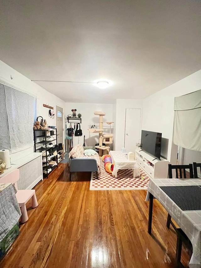 living room with wood-type flooring