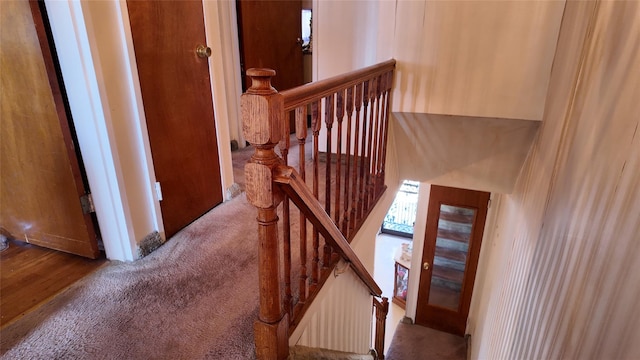 stairway with carpet floors